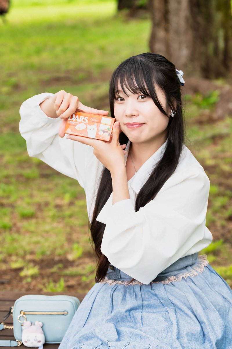 午後の一枚…📸🐈🍫 星夢ひろちゃん @Hoshi_yume_Hiro #Nikon #portrait