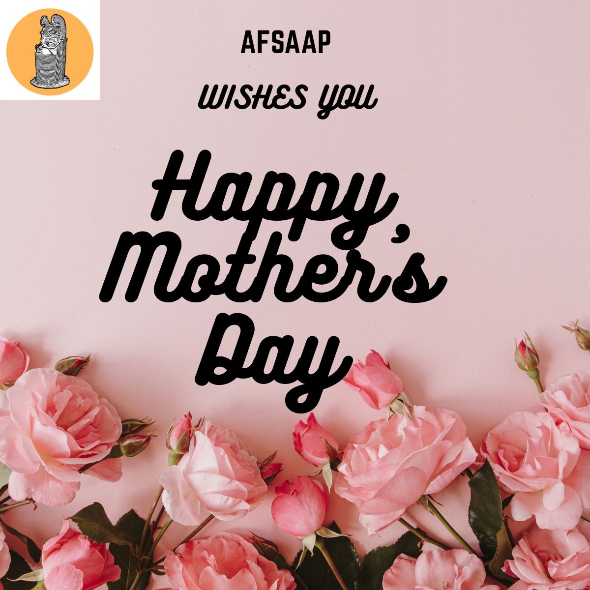 AFSAAP's tweet photo. https://t.co/mXYS6eWoBL