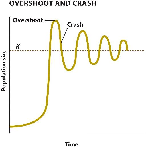 mazinalanii's tweet photo. i feel like this sums up the cycle of cs doomerism pretty well

plus, every time we balance out there's a very vocal minority that makes it seem like the industry is cooked https://t.co/wmHl83NYA4