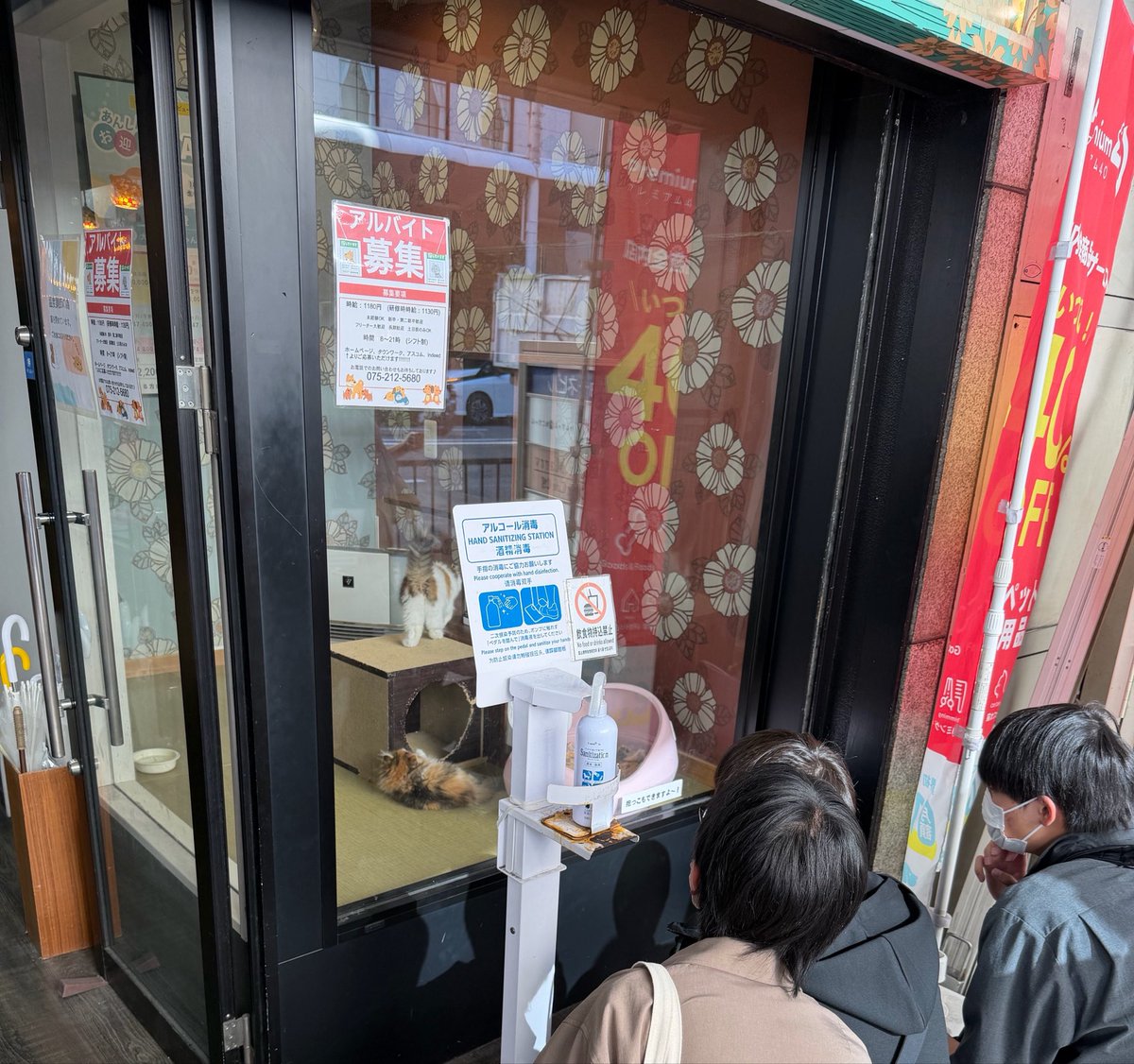 ω・`)ねこさん、大人気や！