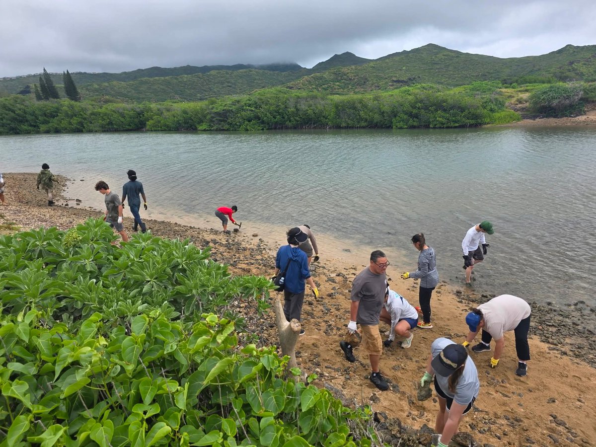 808cleanups tweet media