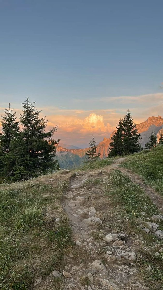 Nature On Earth tweet media