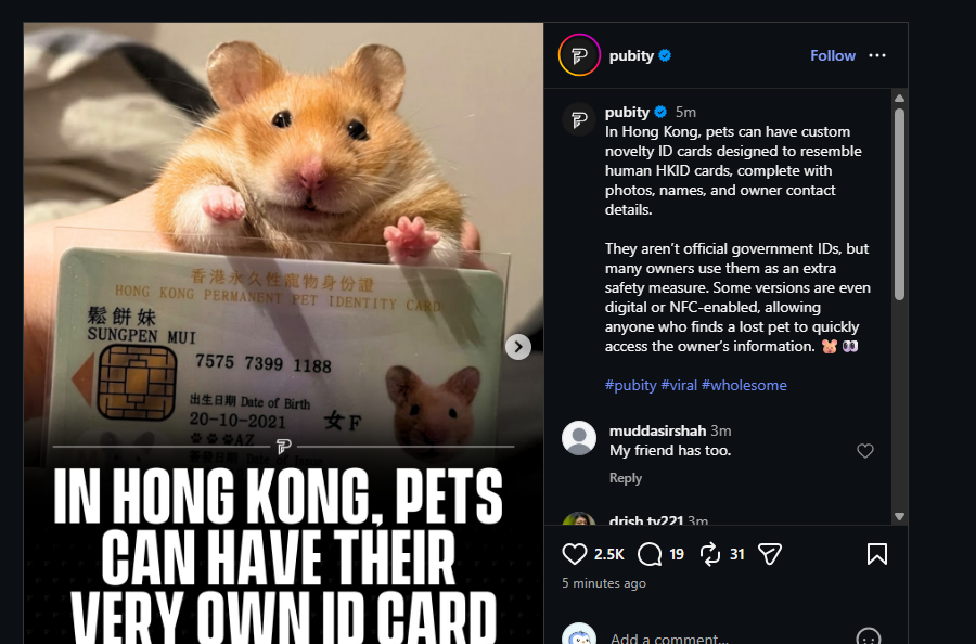 Dusty tweet media