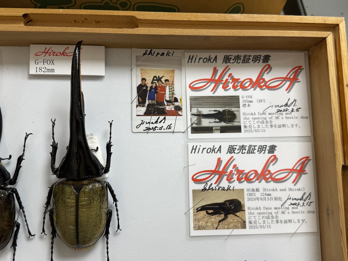 HirokA (@HirokA_world) / Posts / X