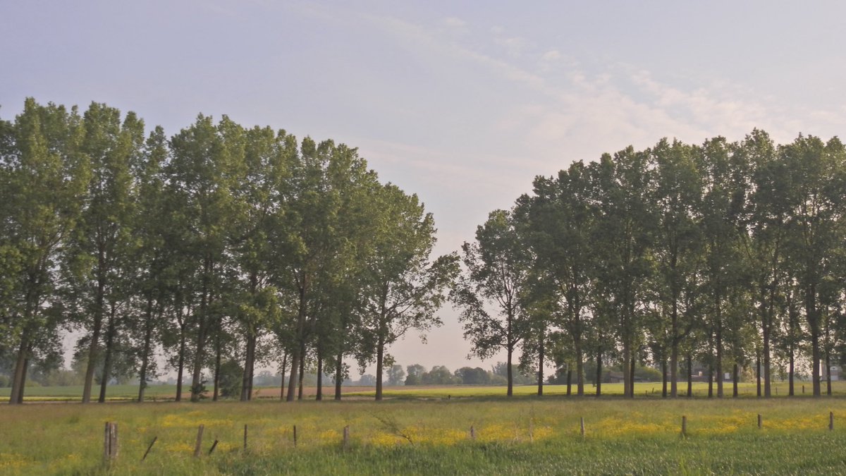 WimLaporte's tweet photo. #vrtweer Wommersom 9u https://t.co/FRIoTPQtKb