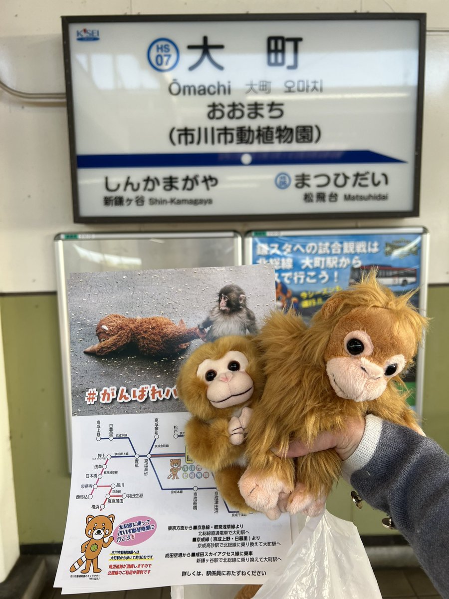 れーたん❤︎愛場れいら　綺麗であざといお姉さん🤍 tweet media