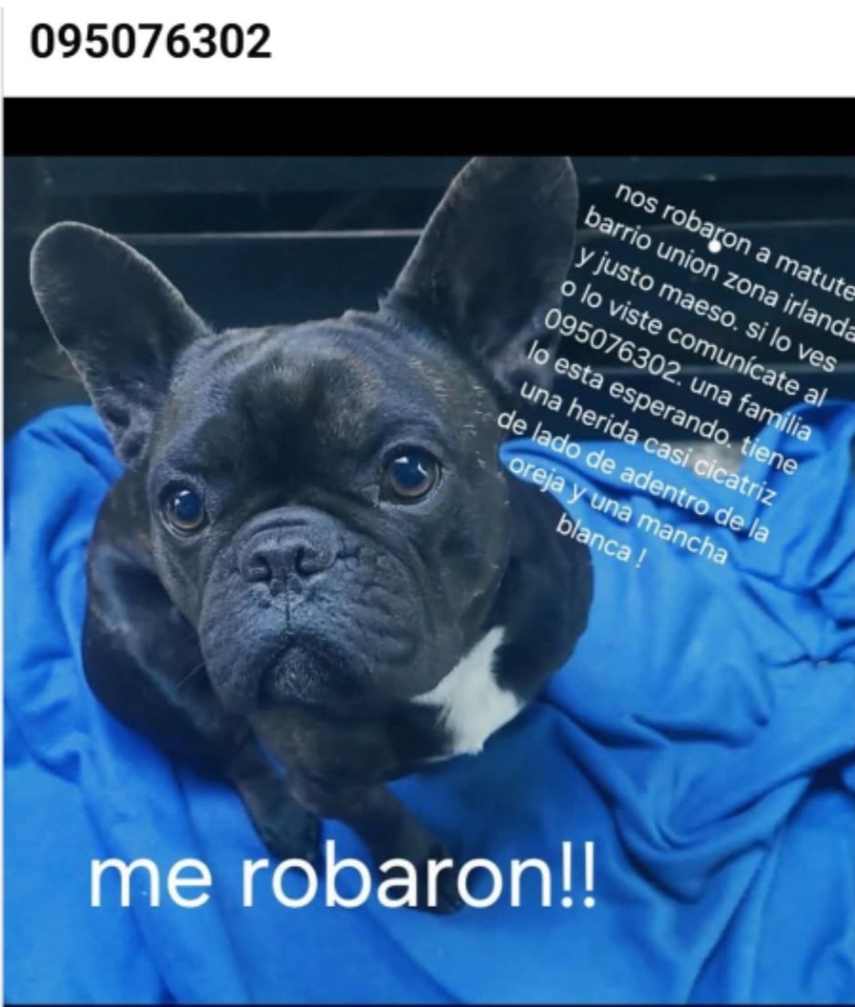 DIFUNDIR