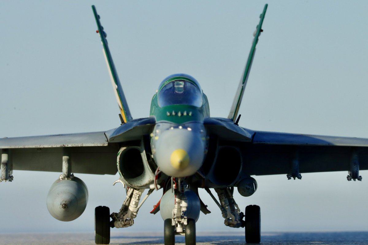 Hasegawa 1:48 F/A-18C VFA-195 