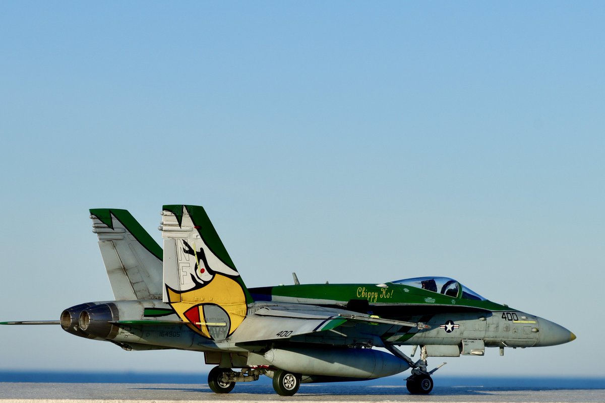 Hasegawa 1:48 F/A-18C VFA-195 