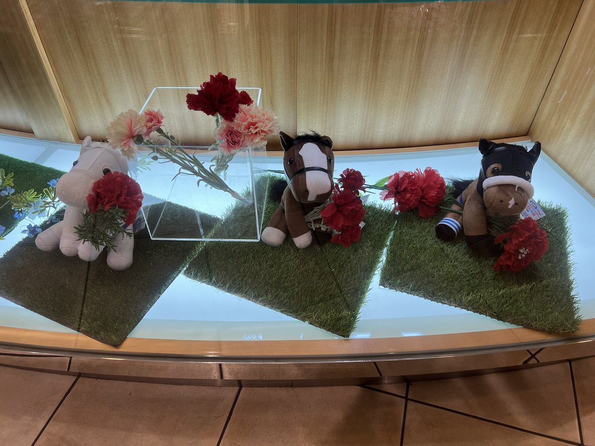 JRA新潟競馬場 tweet media