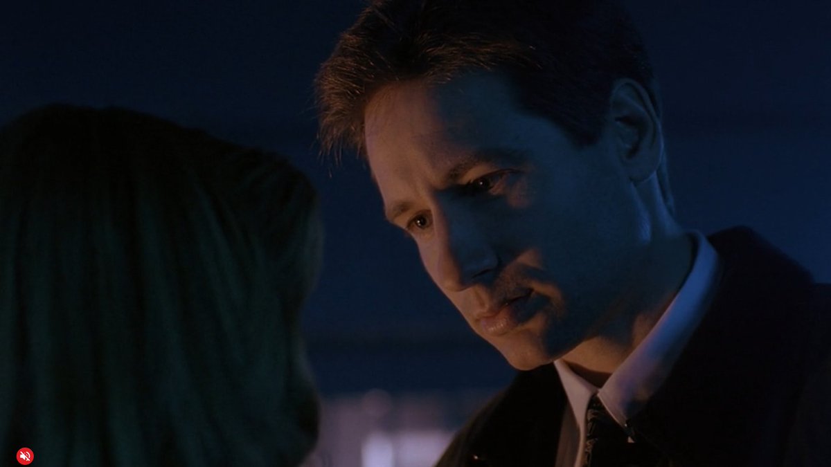 Film Screenshots tweet media
