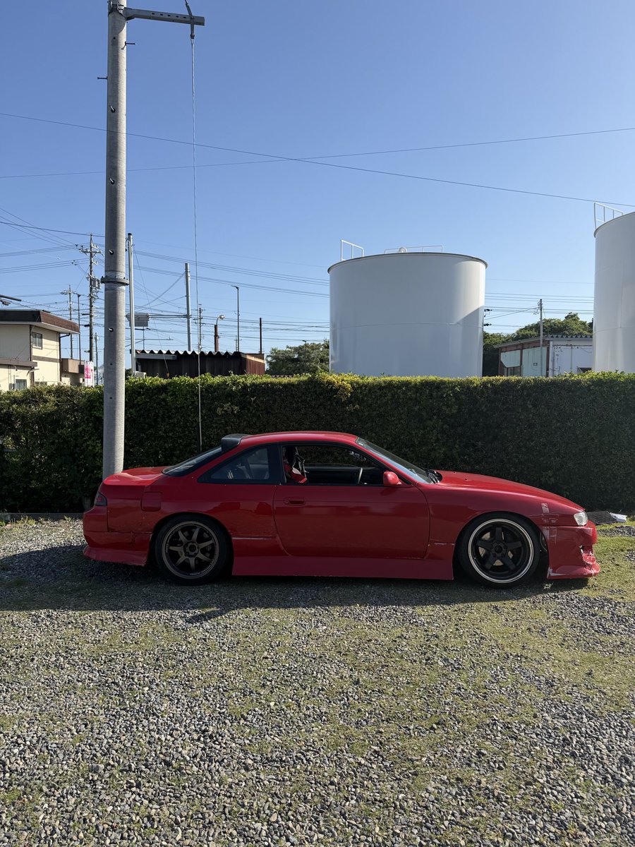 いぬがいぬ tweet media