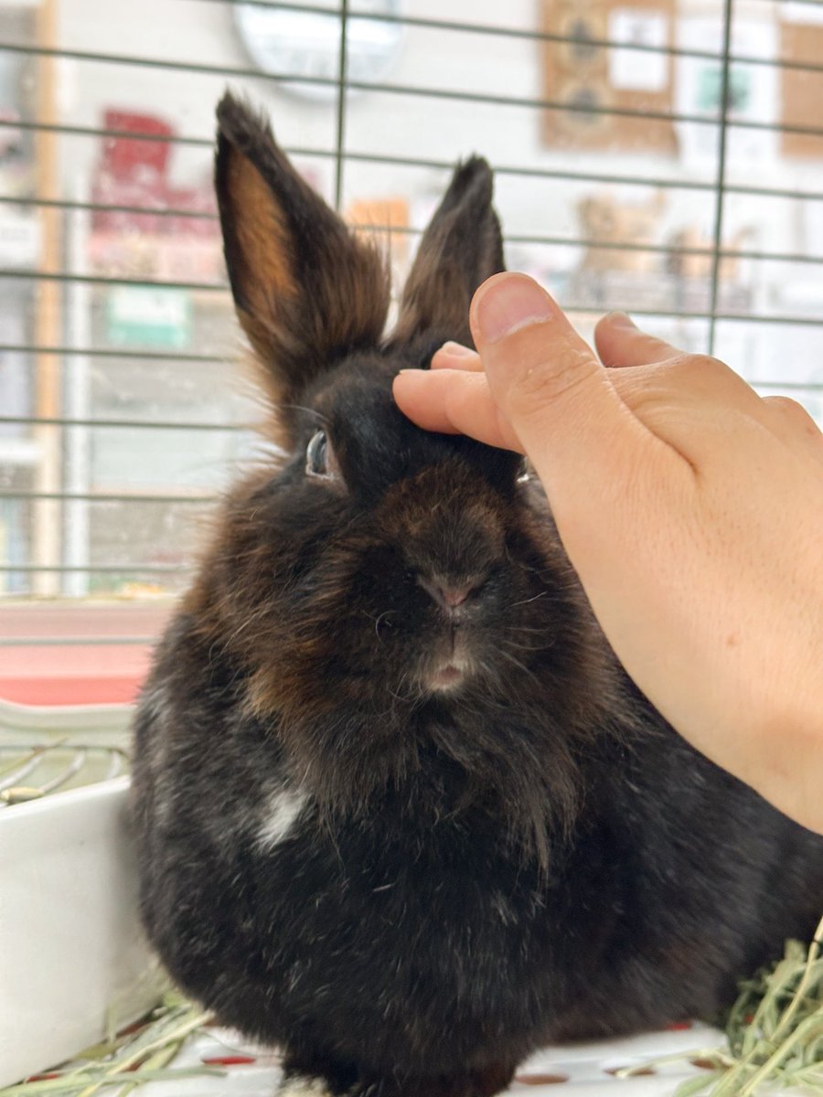 ムラオカカヨ tweet media