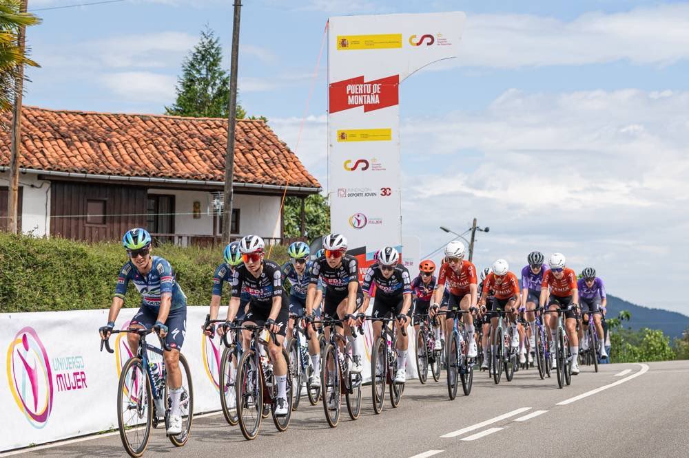 CSD tweet media