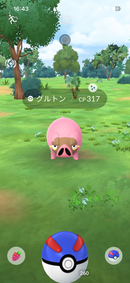mo3nogaming's tweet photo. 昨日のコミュデイグルトン女の子の色違いゲットできたｲｪｲ

#ポケモンGO https://t.co/F1GlqGBrsM