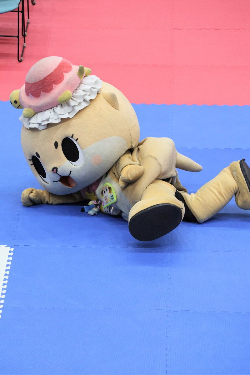 2026年5月10日本日のちぃたん速報！ #ちぃたん