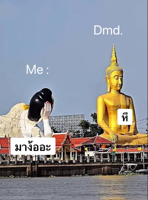 Pployynatcha🦦 tweet media