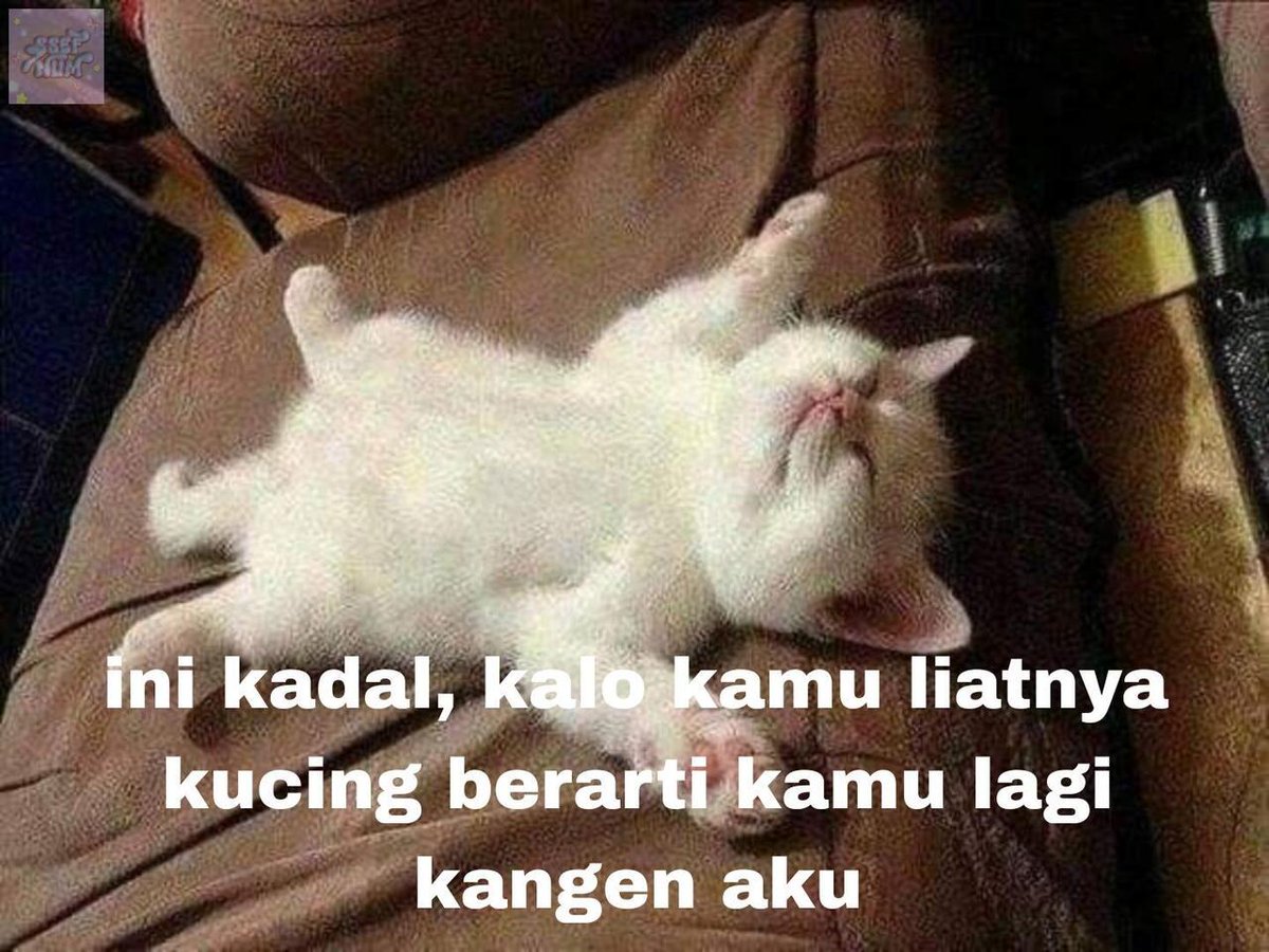 munvess's tweet photo. -rl -rl -rl -rl -rl https://t.co/Qle55bosAX
