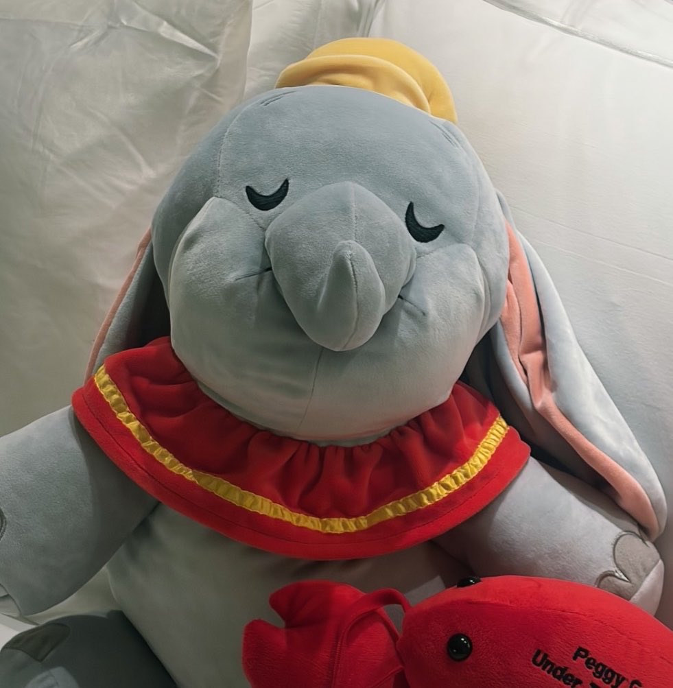 ʚ🧸ྀིɞ (행챙)⋆͛ tweet media
