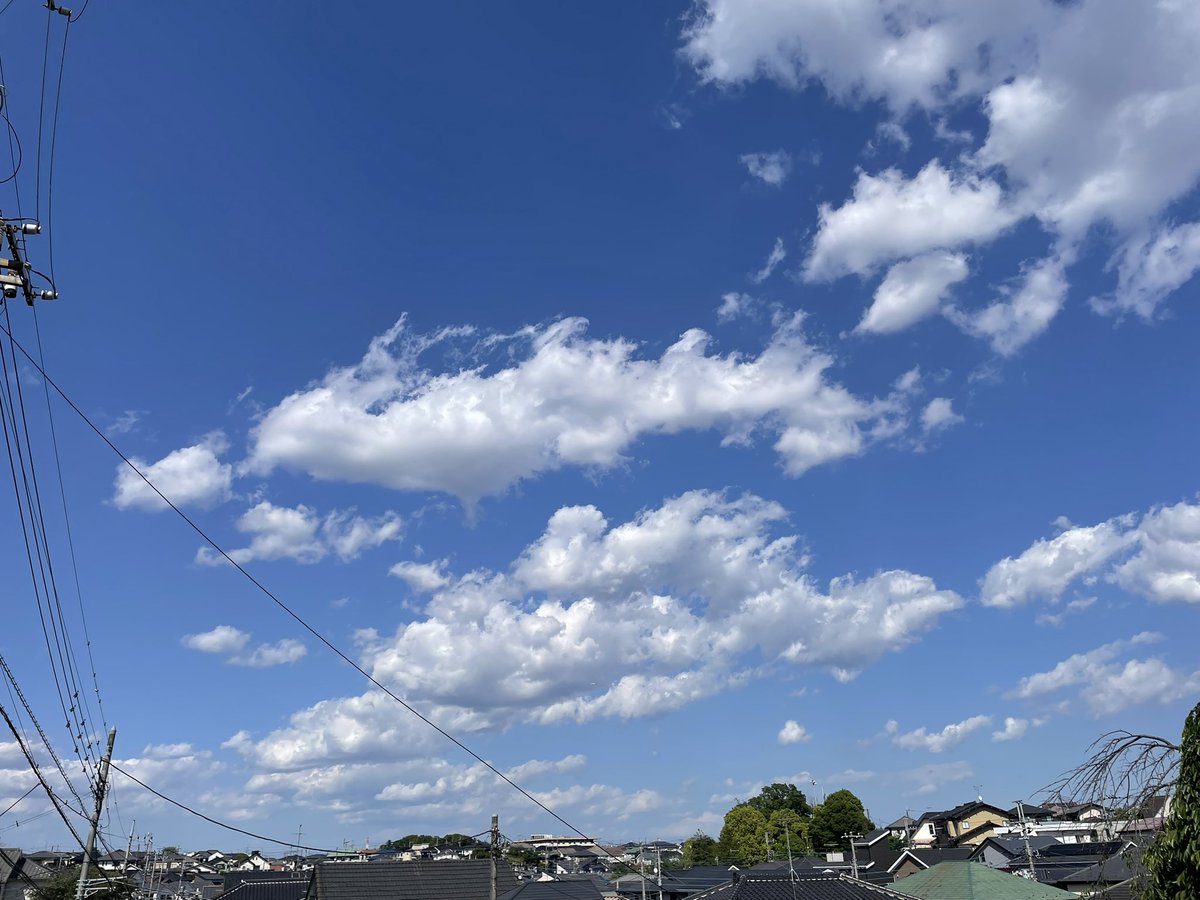 Tomo_Mrk3B01's tweet photo. Various flowers on the way home from the gym, and the high &amp; blue sky!
They tell me that it’s already on the point of being in early summer😌
#twinglish #walking #散歩 #natureview https://t.co/S77b2BrxXI