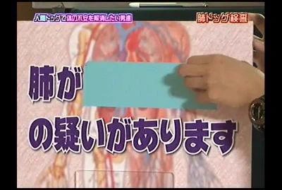 めちゃワラ大全集 tweet media