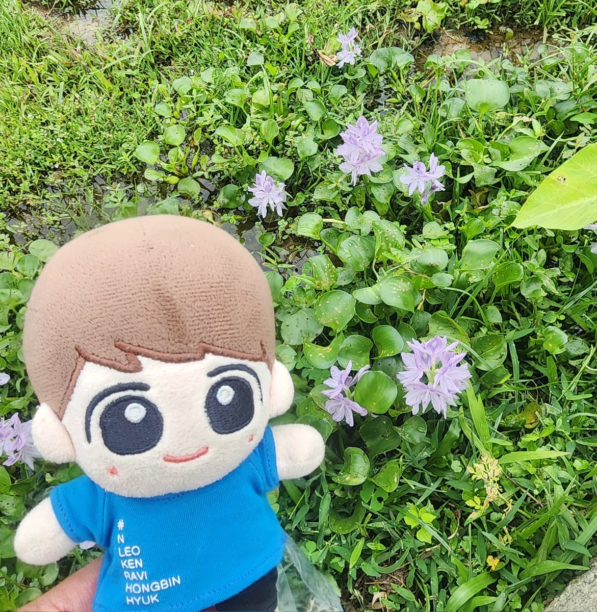 🌱abriel🌻 tweet media