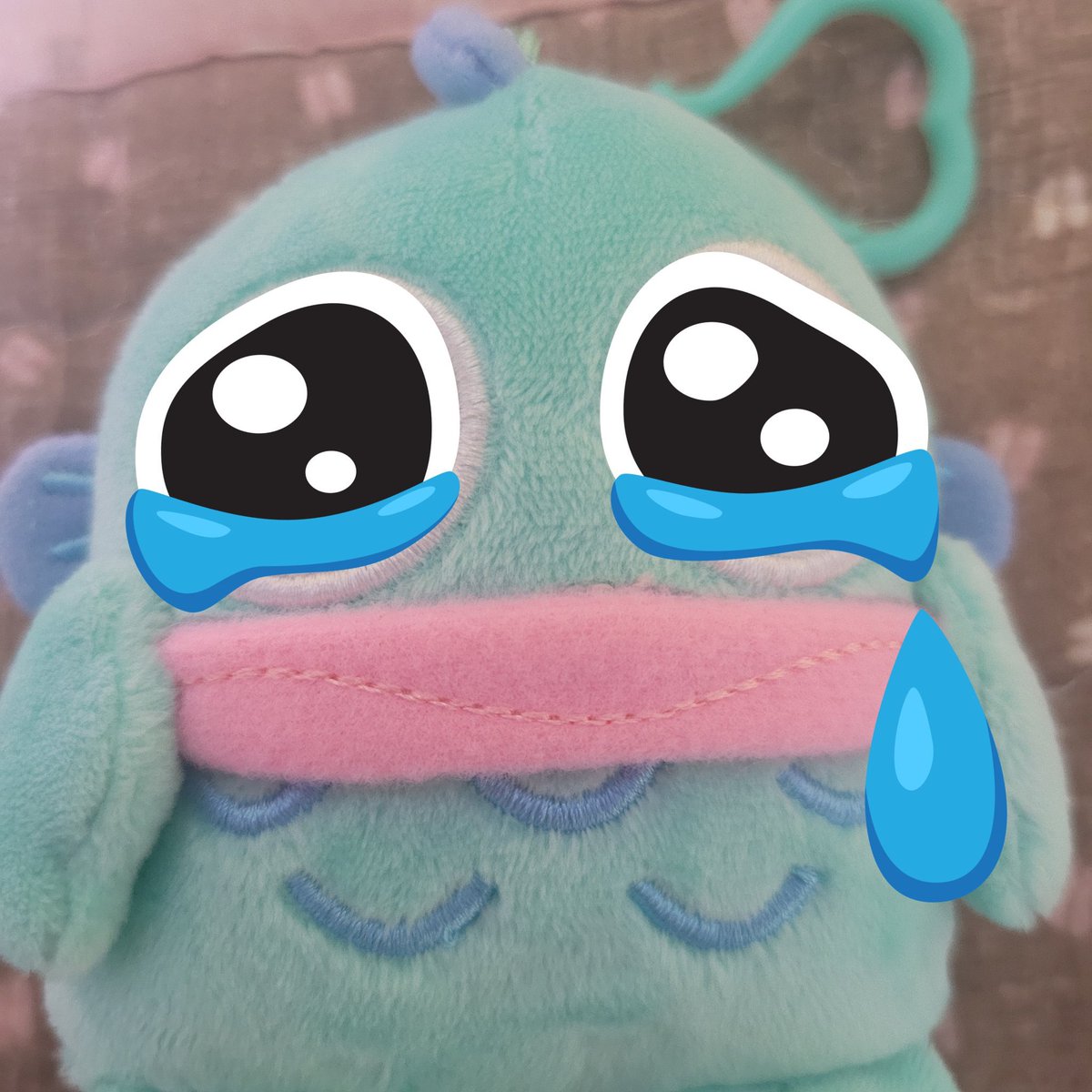 올뼘이 tweet media