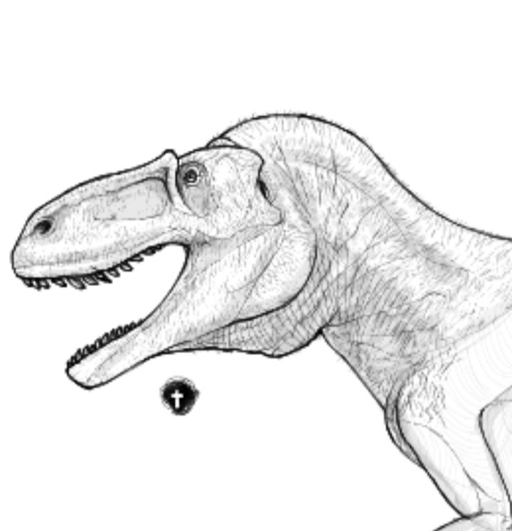VaranusFatus's tweet photo. Torvosaurus tanneri https://t.co/FsuShH6tnp
