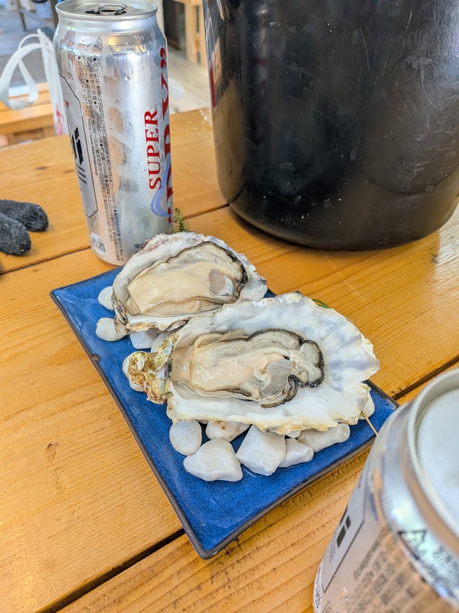 mapintas000's tweet photo. 牡蠣バケツ2杯食べたった https://t.co/3tcseWZD8h