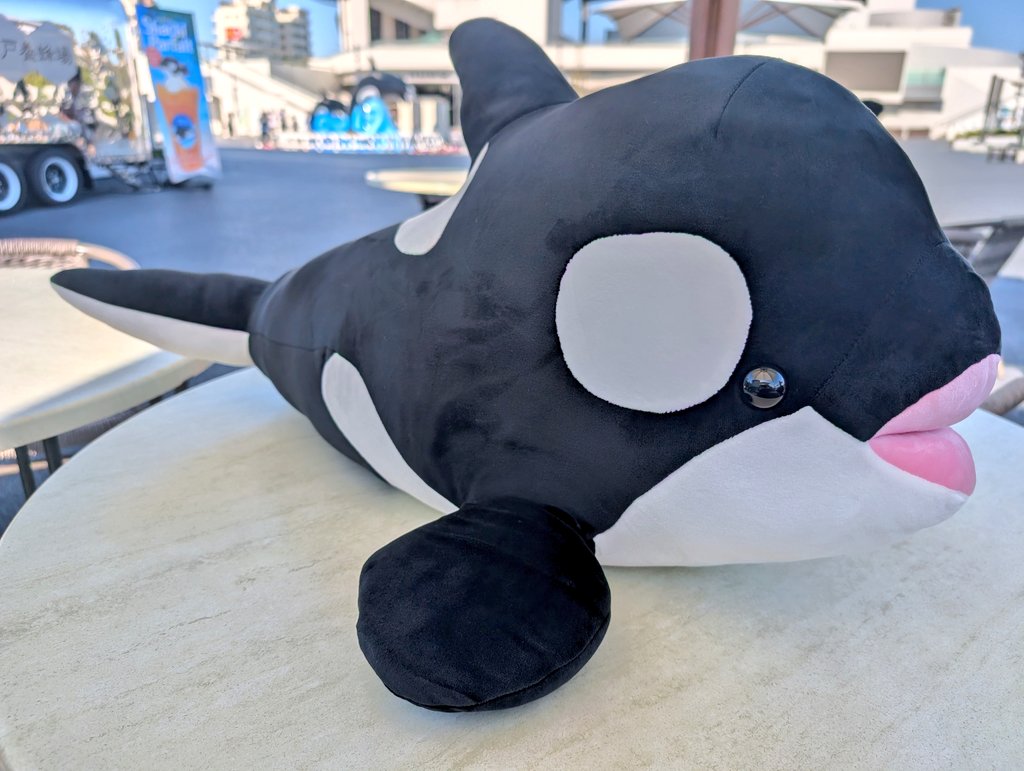 でし(deci)🦈 (@FKFK_shark) / Posts / X