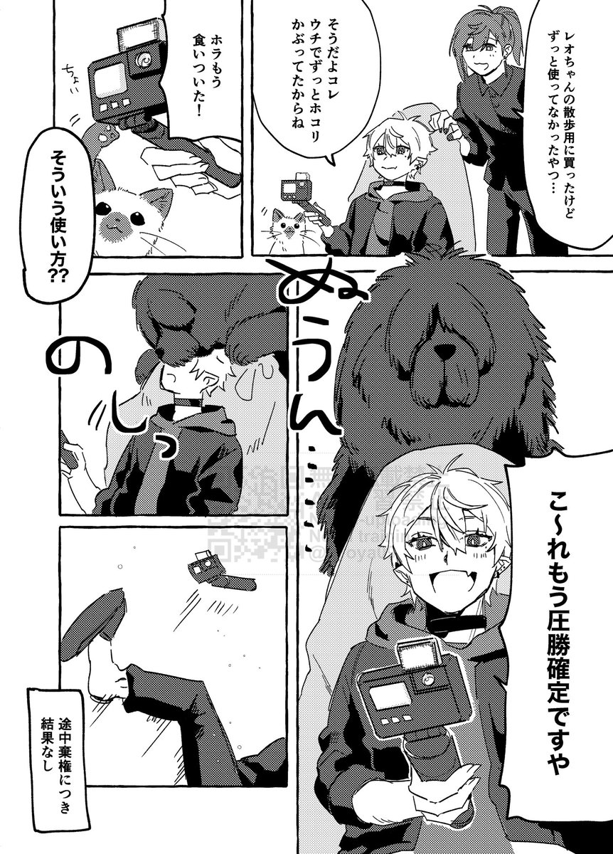 _yoya09's tweet photo. (3/4) https://t.co/OlSo2OTeUU