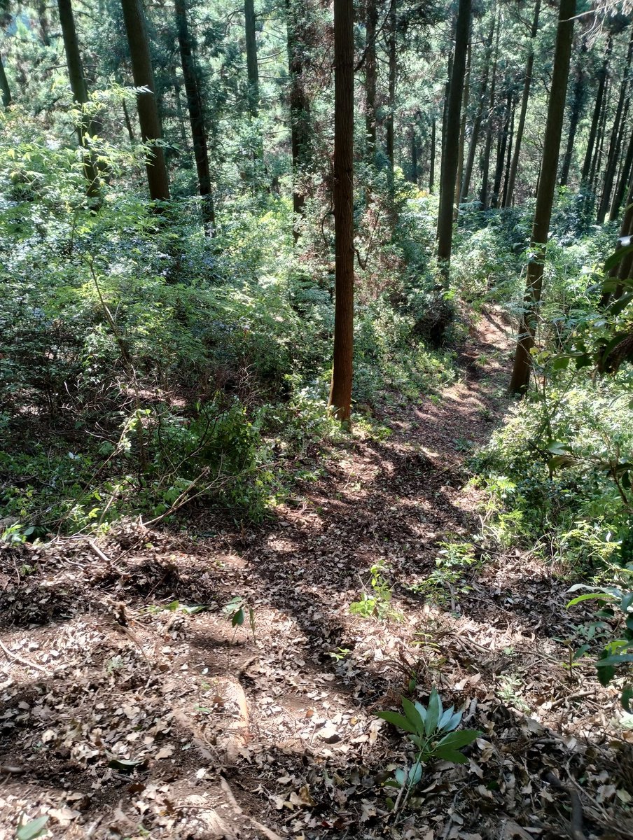猫川ぽちお tweet media
