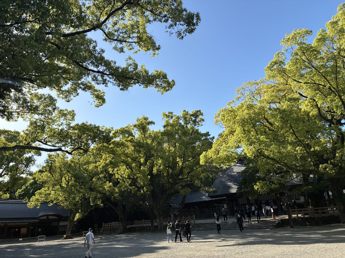 mcakikooshima's tweet photo. 豊橋からひとっ飛び
熱田神宮に来ました。
神々しい光がさして
幸せな気持ちになります。

あまり知られていませんが
鳥居の手前にある
左右の小さなお社は
東と西の八百萬の神様を
祀ったお社です⛩️
＃熱田神宮　＃八百萬神社 https://t.co/wRJDwmbgQK