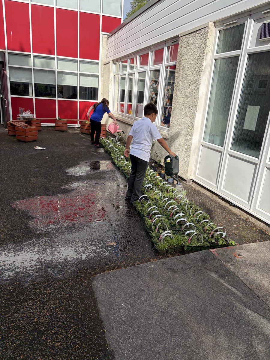Anderston Primary School, Glasgow tweet media