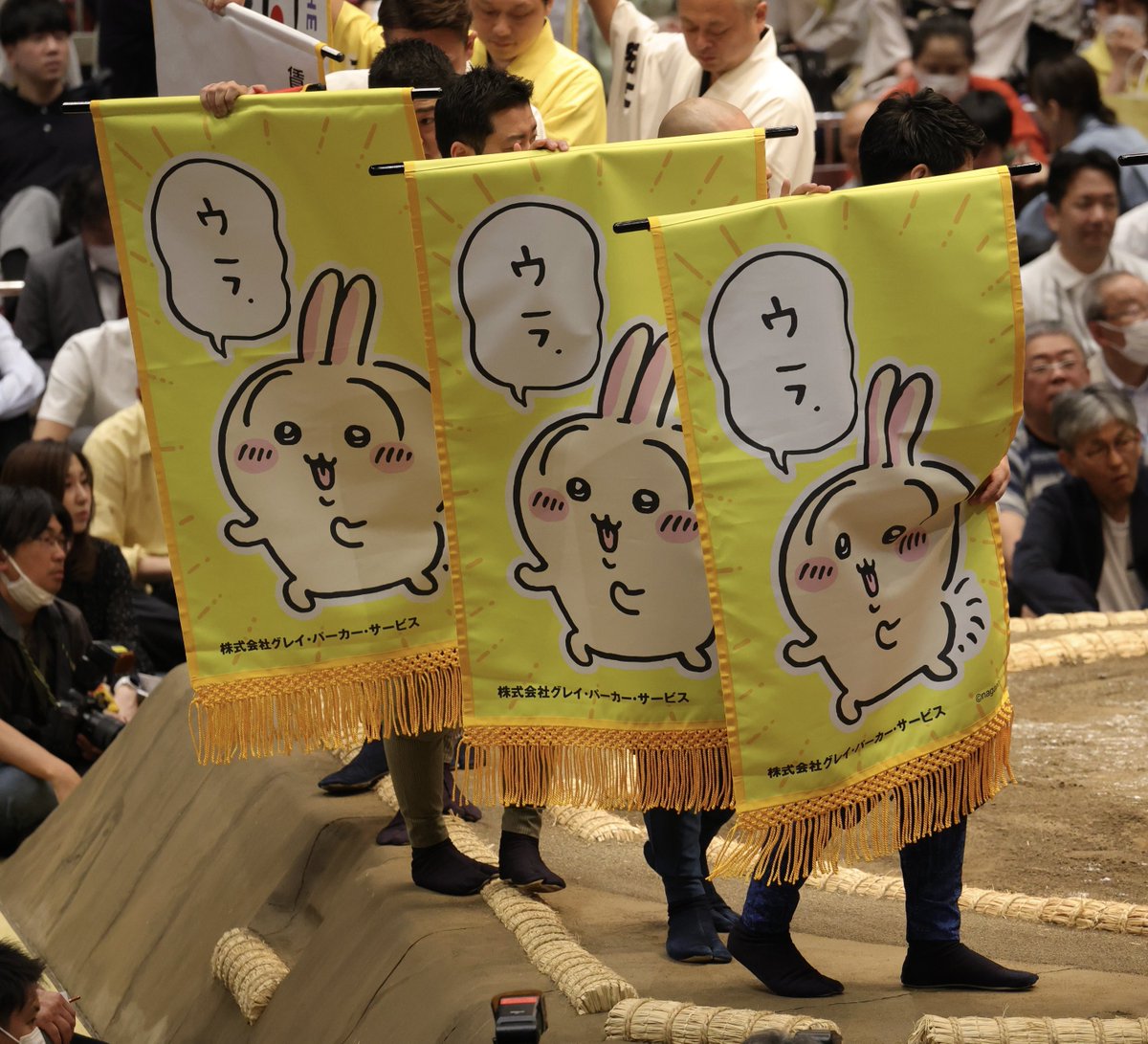 mionoumi's tweet photo. ﾔﾊ https://t.co/ULFUCRkJSt