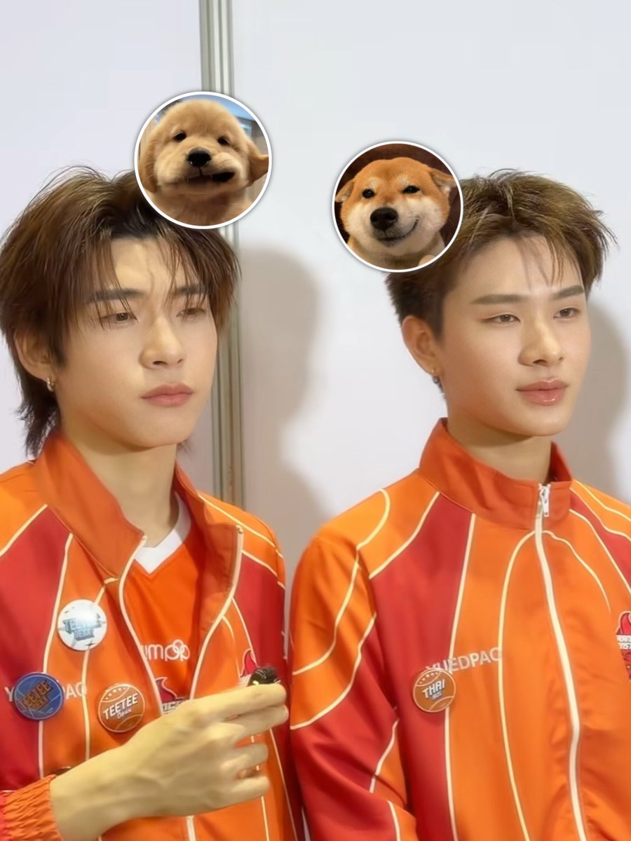 æ ชริ tweet media
