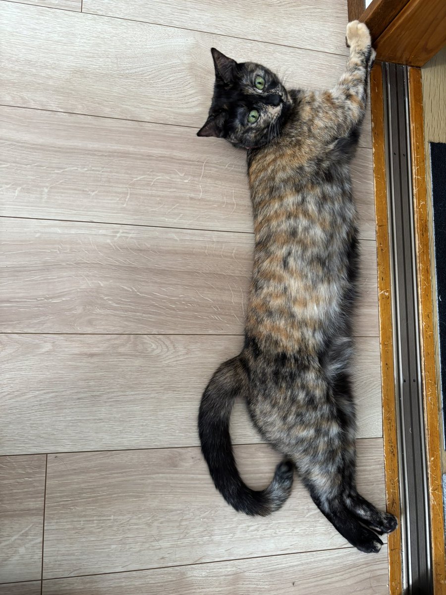 ながーい