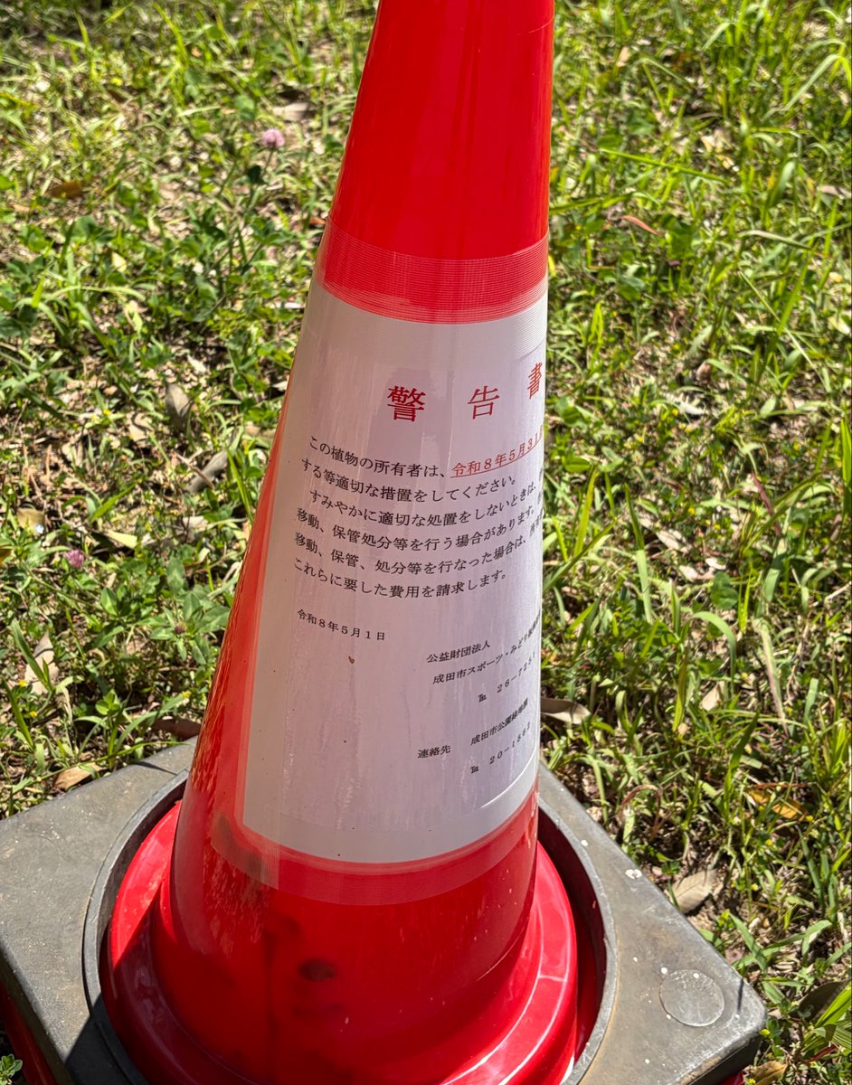 そしてこんな警告書のコーンが複数個あったけど何があったのか