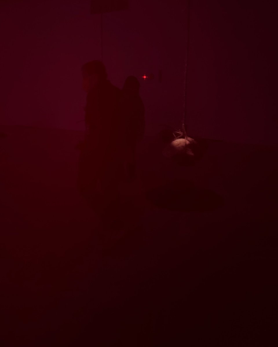 _sidyou's tweet photo. 🌑

-
Edit by @usedarkroom 
#sidyou #iphonegraphy #shotbyiphone https://t.co/GqQkvNodDN