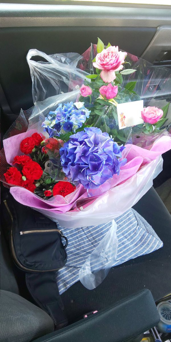 SILVERWINGF4's tweet photo. 今年の母の日の花です。どうかな。 https://t.co/um6waAWwho