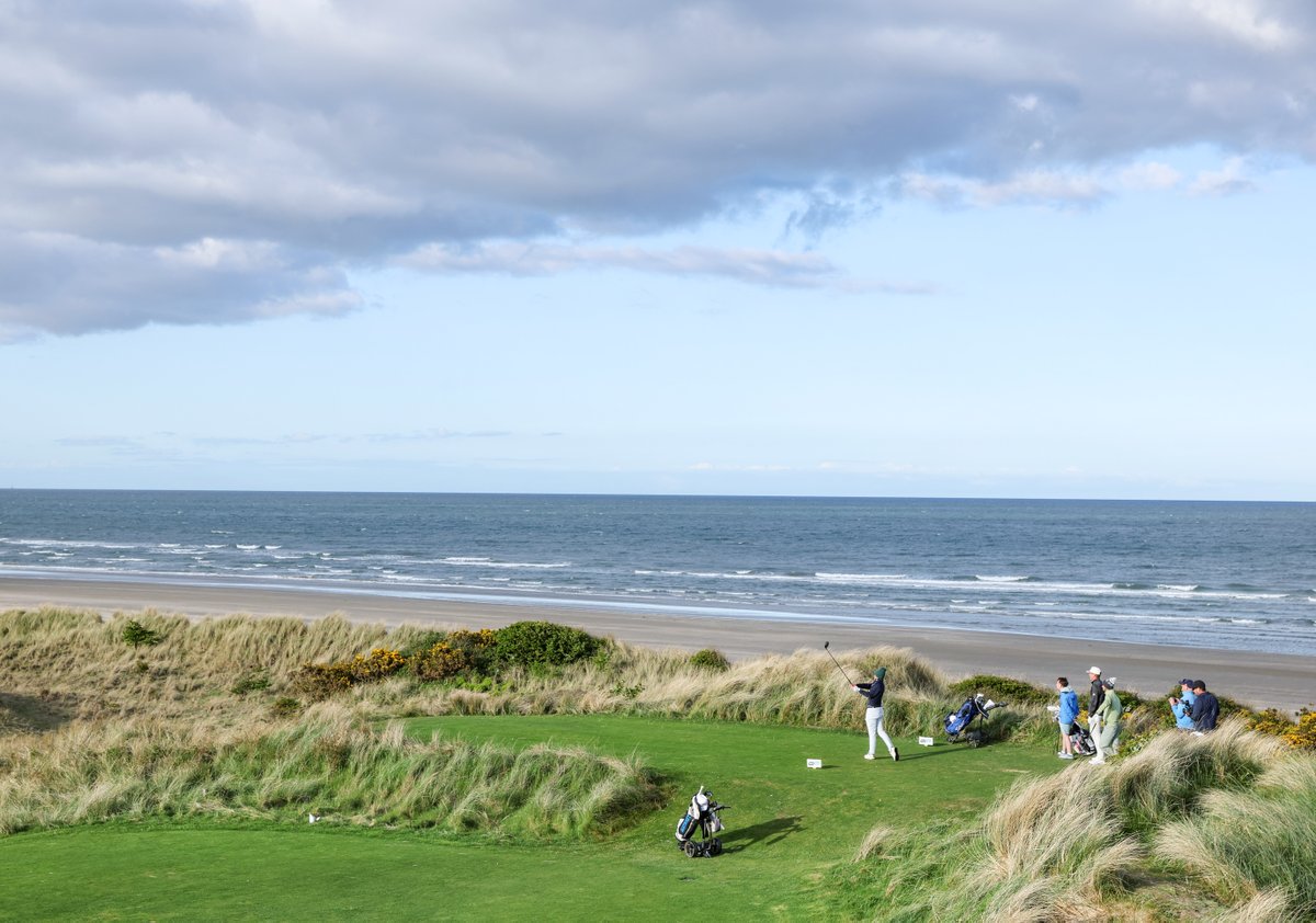 Golf Ireland tweet media