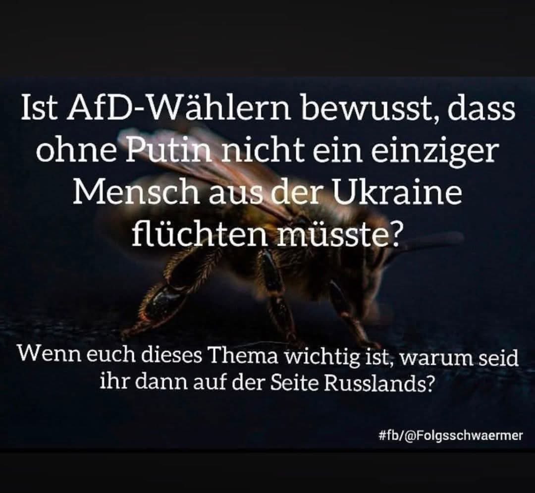 SchwarzesSchaf 🇮🇱🇺🇦🌻 🏳️‍🌈 tweet media