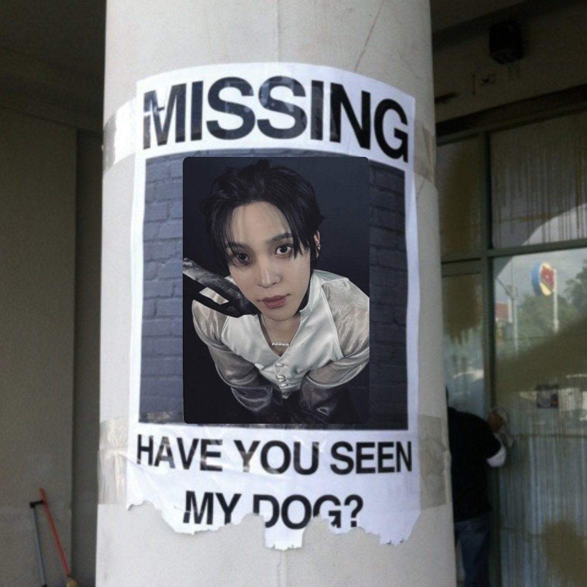 please bring him home.. 😞