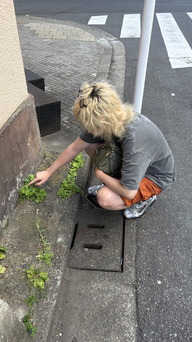 shimonoji's tweet photo. 急に幸せ(四葉のクローバー)探しはじめた。 https://t.co/mKE2CxcHOD