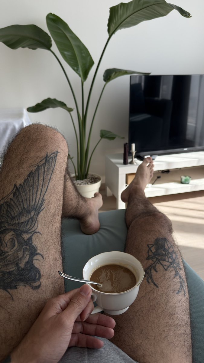 alechandro_boy's tweet photo. Good morning 🦜 https://t.co/oSgwLuC5V8