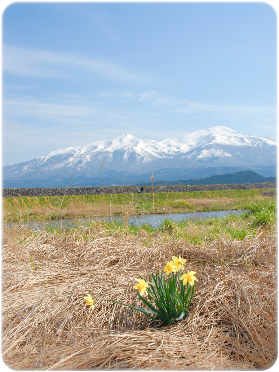 anemos_wind77's tweet photo. 🪻　

#鳥海山 #遊佐町 #山形県 #風景写真 https://t.co/bi8owfU1Fh