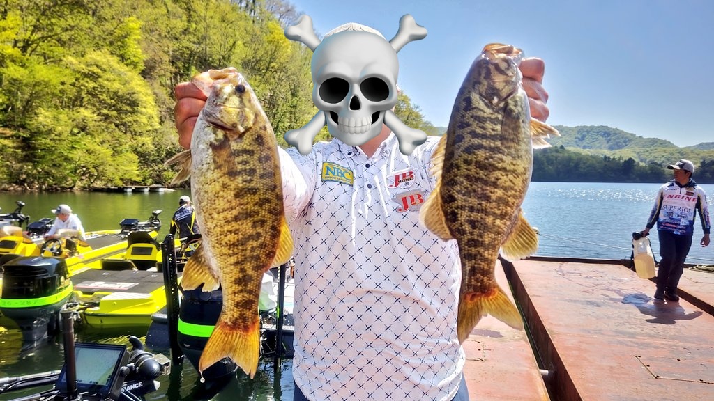 なかやす(KOTA NAKAHARA)・バス釣りの人【桧原湖ガイド・野尻湖ガイド・高滝湖ガイド】 tweet media