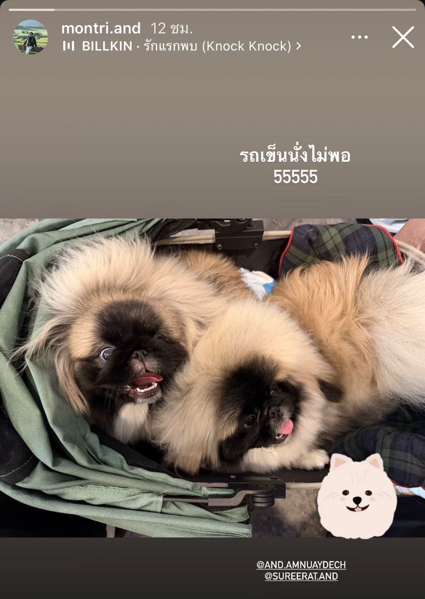 นอนอ🍀🕯️ tweet media