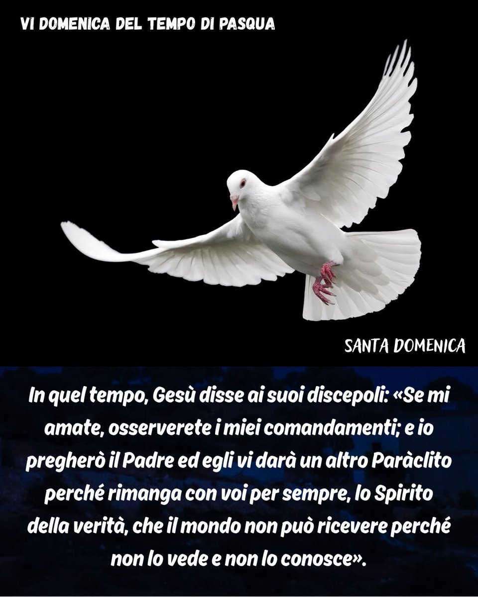 Frodo6Luca's tweet photo. https://t.co/LEJ3o7l1Xx