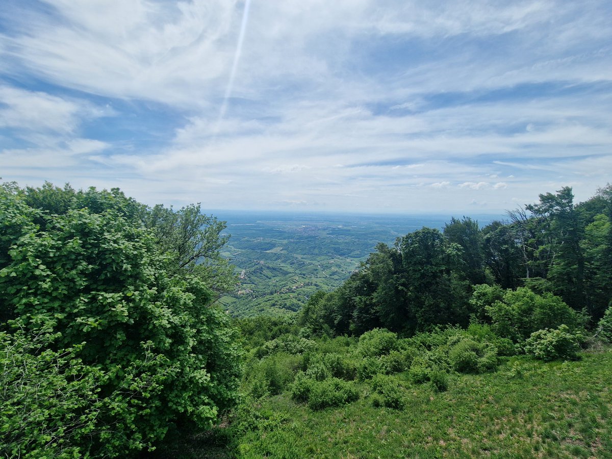 ZG0206HR's tweet photo. Plešivica osvojena, slijedeća je Kozara 😂
#samojako https://t.co/t2qx1ZYyer